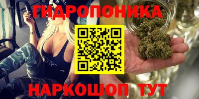 МДМА Заводоуковск