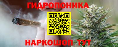 spice Заволжье