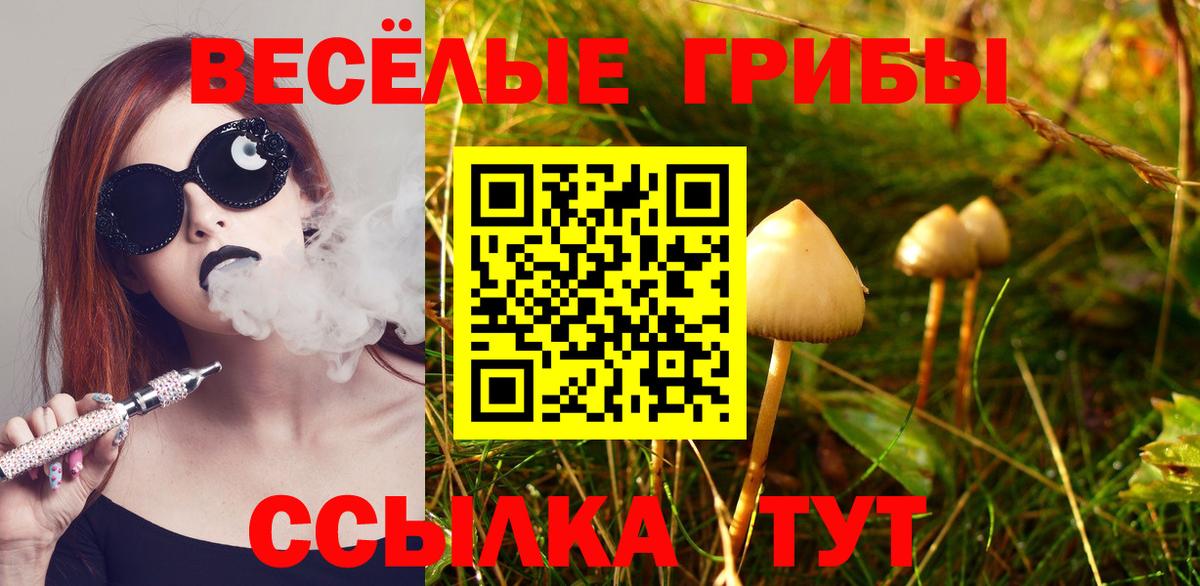 Галлюциногенные грибы Psilocybe Луга